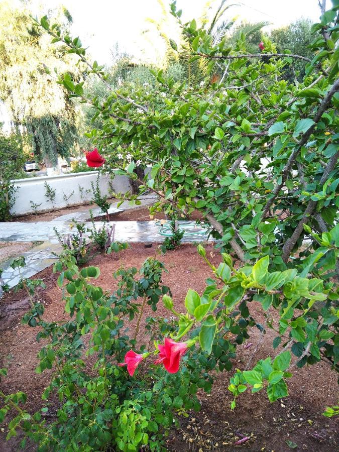 הרסוניסוס Cretanvibes Apartments מראה חיצוני תמונה