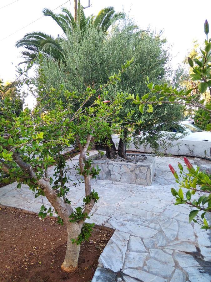 הרסוניסוס Cretanvibes Apartments מראה חיצוני תמונה
