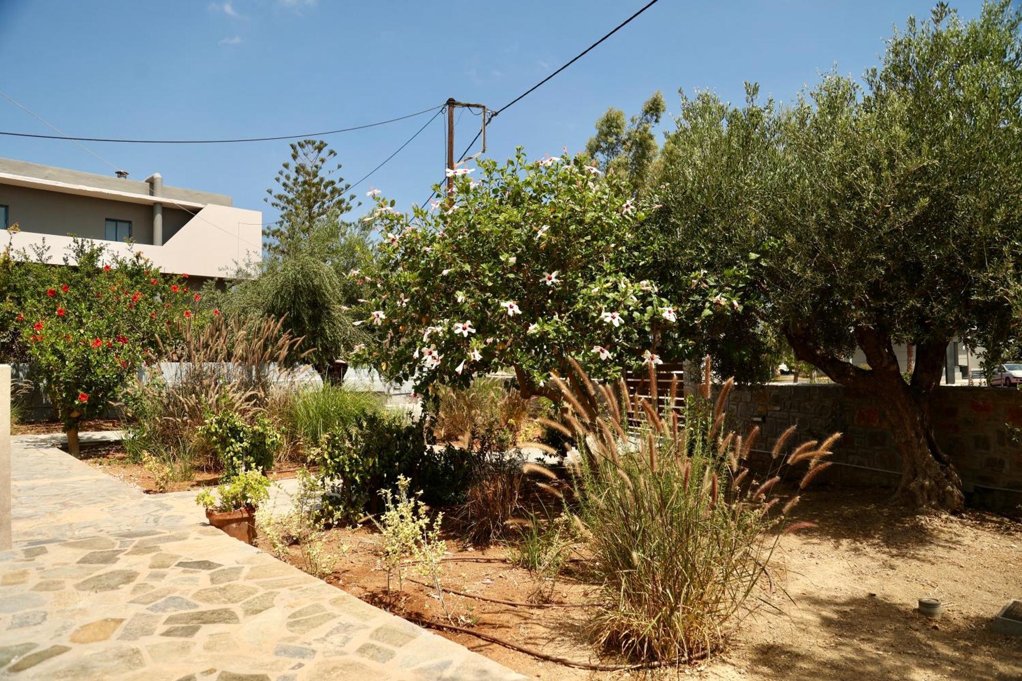 הרסוניסוס Cretanvibes Apartments מראה חיצוני תמונה